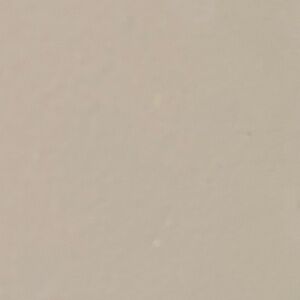 Meet your Posher, Liza